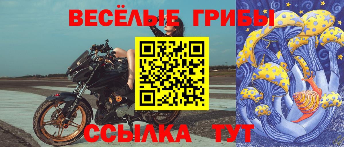 Псилоцибиновые грибы Psilocybe  хочу   Сорочинск  Вход с VPN  Галлюциногенные грибы ЛСД 
