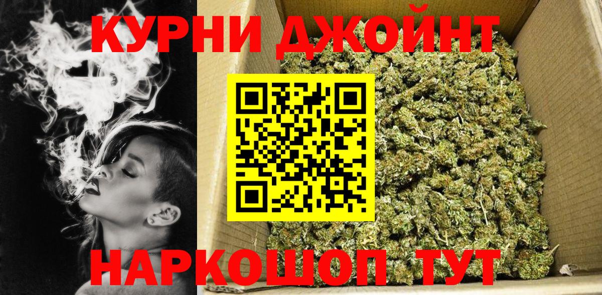 Каннабис сатива Сорочинск